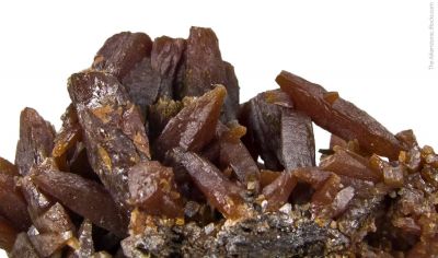Stolzite (elongated crystals)